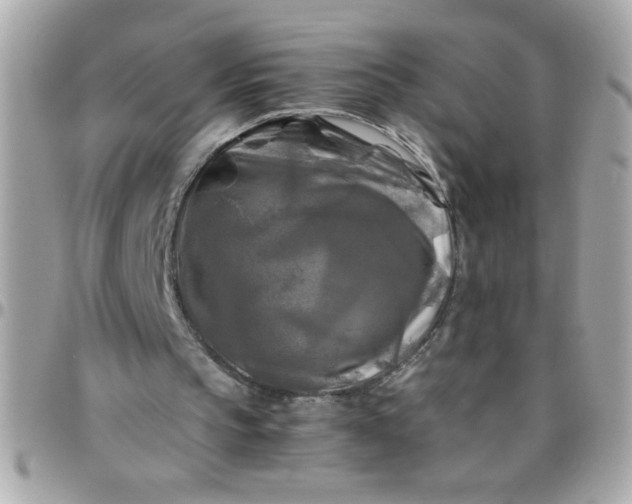 X0000097780145200803211806