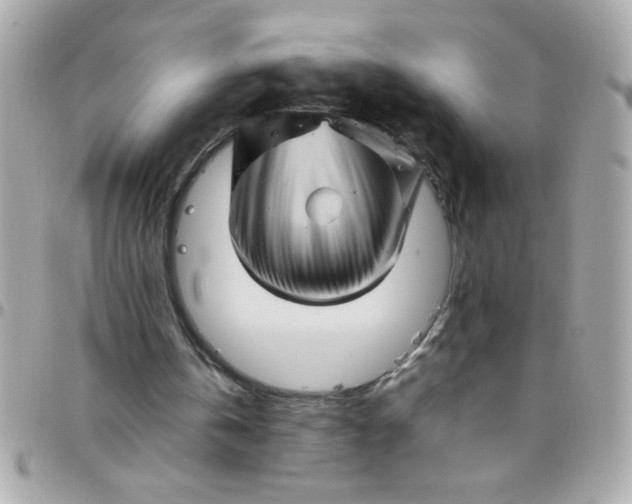 X0000097780146200803211806