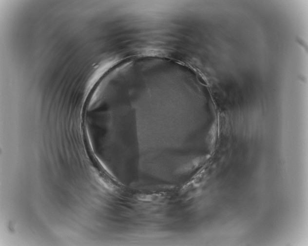 X0000097780147200803211806