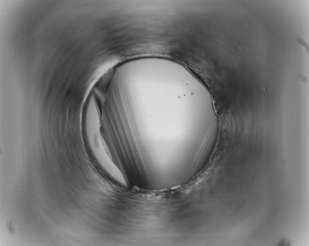 X0000097780148200803211806