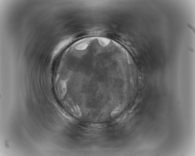 X0000097780149200803211806