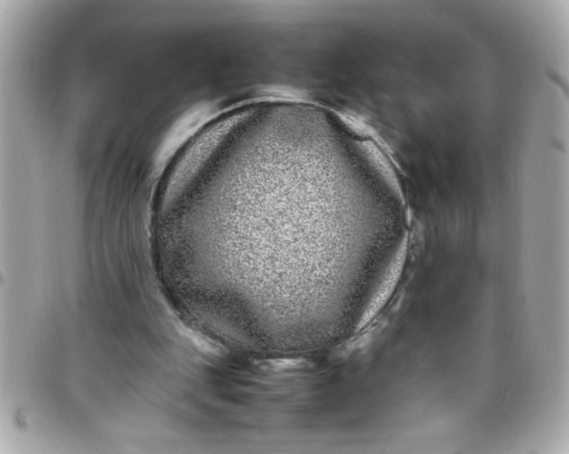 X0000097780151200803211806