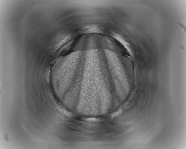 X0000097780153200803211806