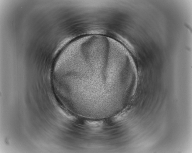 X0000097780155200803211806