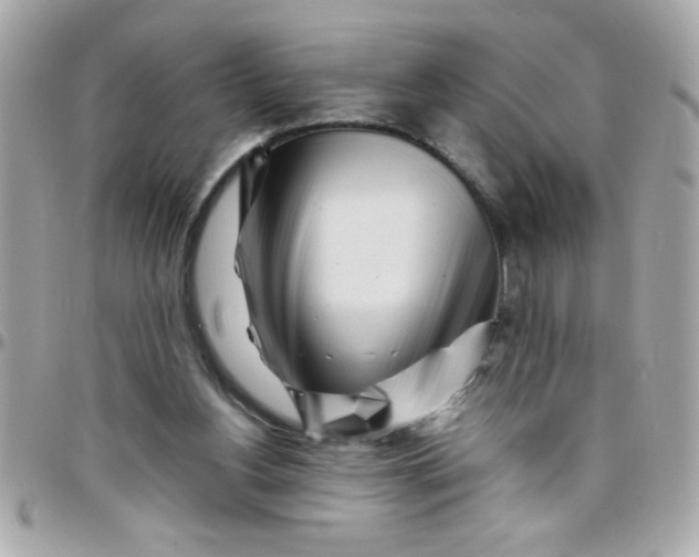 X0000097780156200803211806