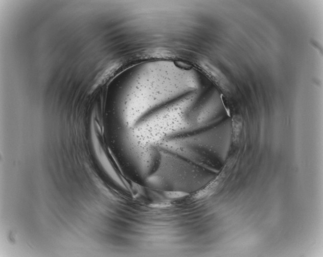 X0000097780158200803211806