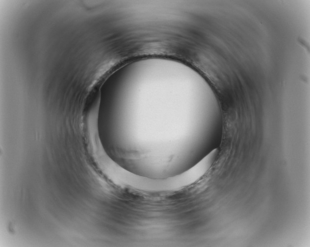 X0000097780160200803211806