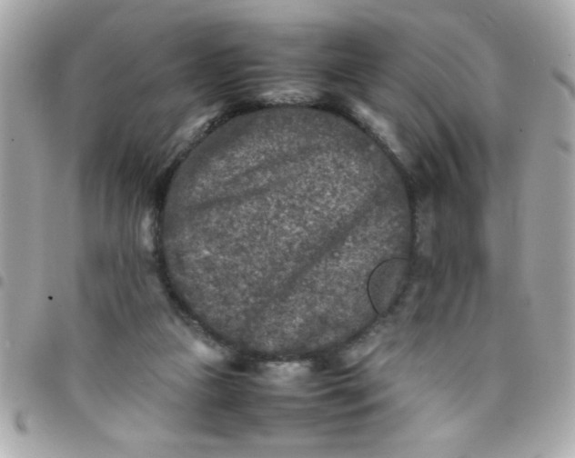 X0000097780161200803211806