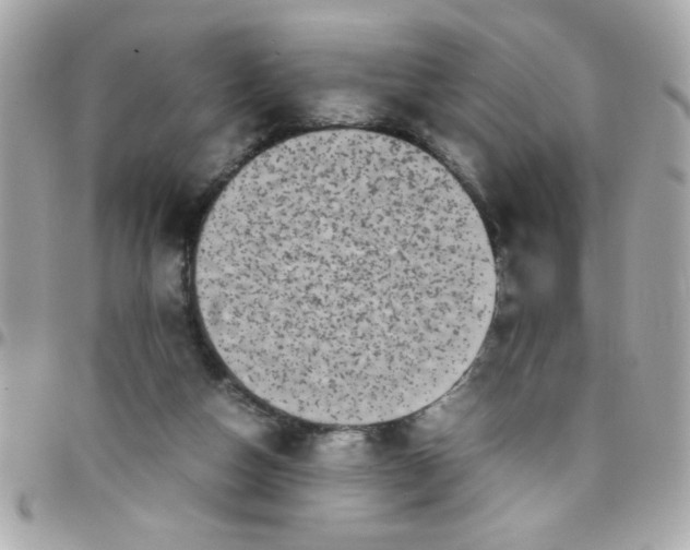 X0000097780162200803211806