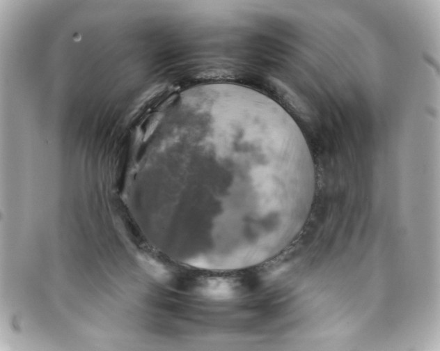 X0000097780163200803211806