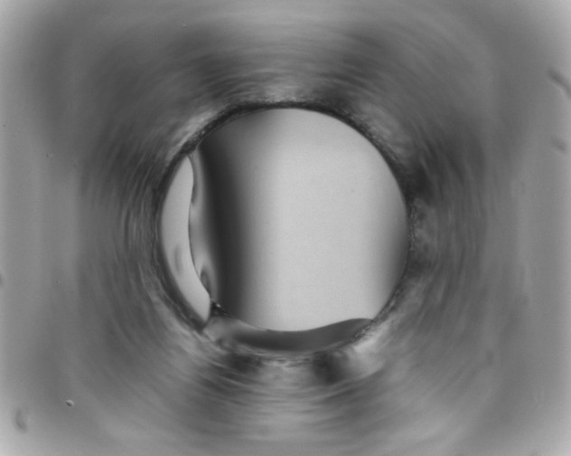 X0000097780164200803211807