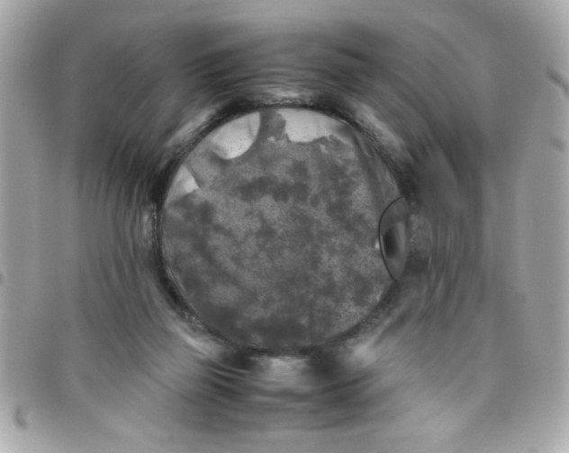 X0000097780165200803211807