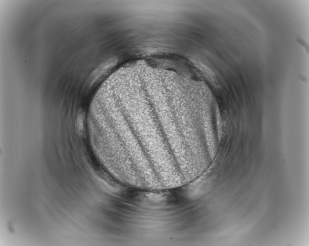 X0000097780166200803211807