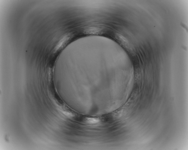 X0000097780167200803211807