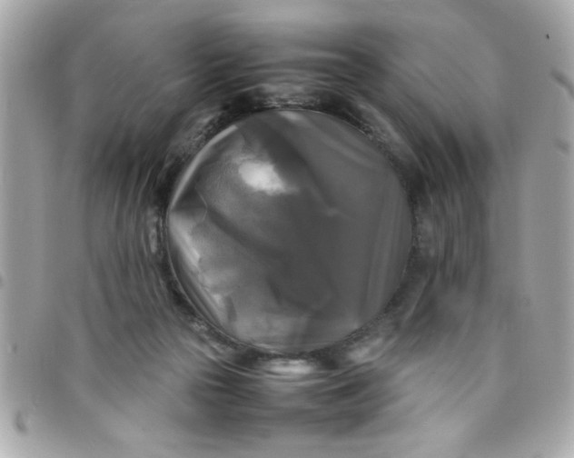 X0000097780169200803211807