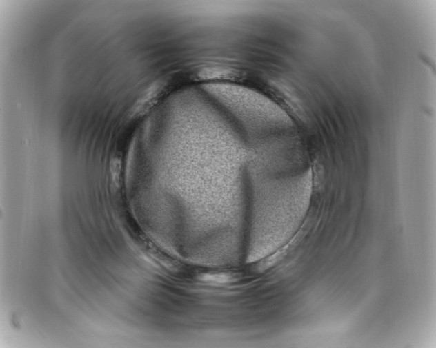 X0000097780171200803211807