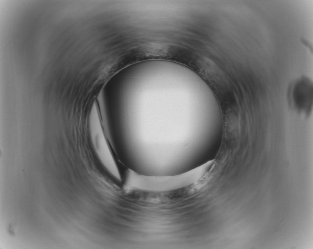 X0000097780172200803211807