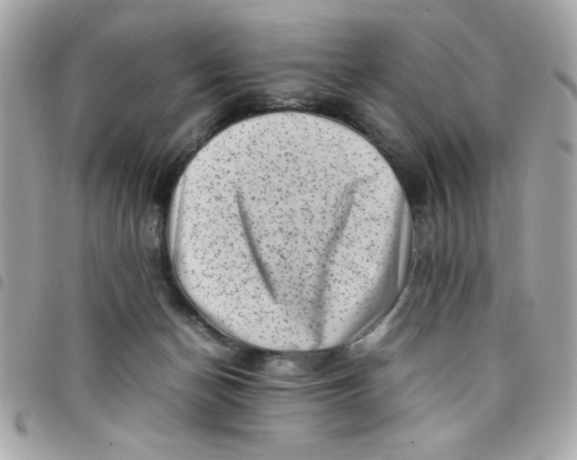 X0000097780174200803211807