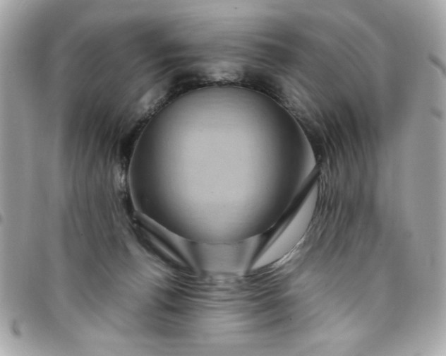 X0000097780176200803211807