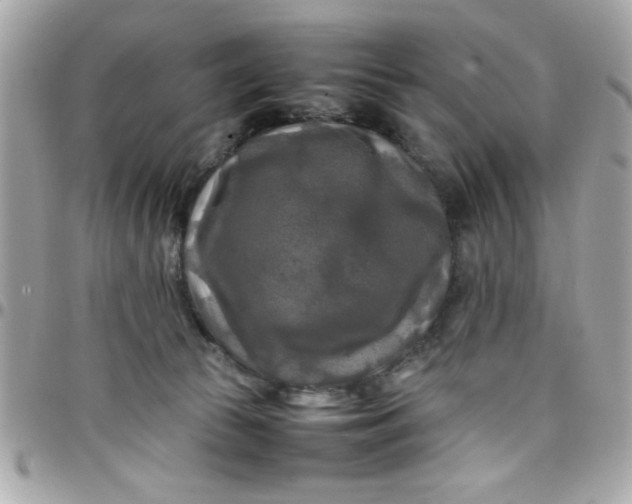 X0000097780177200803211807