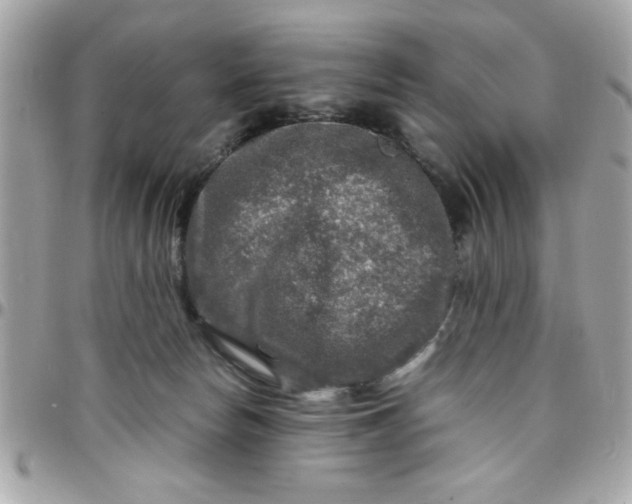 X0000097780178200803211807