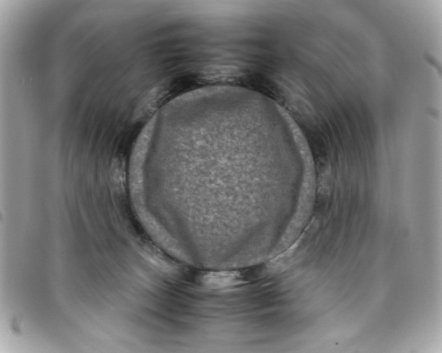 X0000097780179200803211807