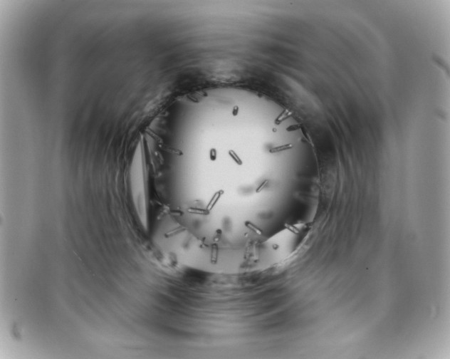 X0000097780180200803211807