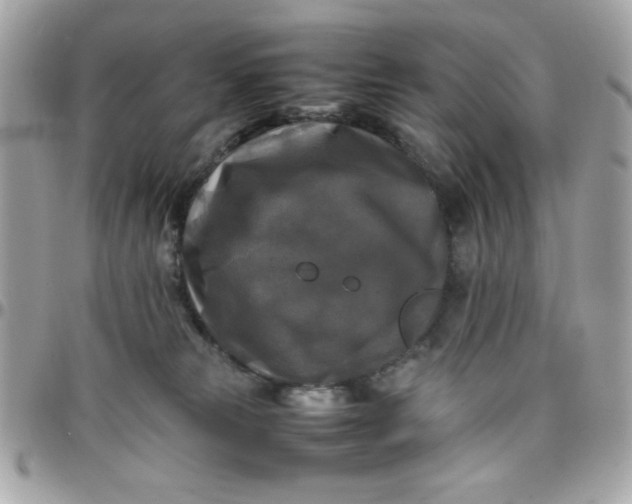 X0000097780181200803211807