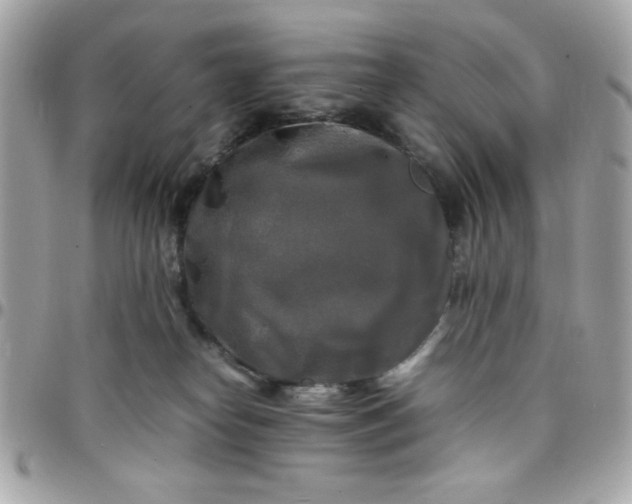 X0000097780182200803211807