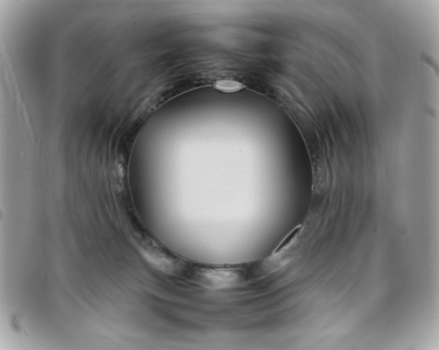 X0000097780183200803211807