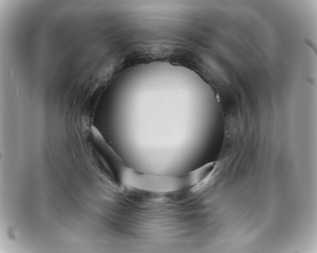 X0000097780184200803211807