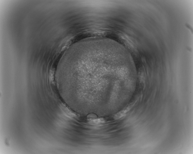 X0000097780185200803211807