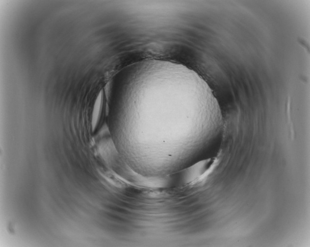 X0000097780186200803211807