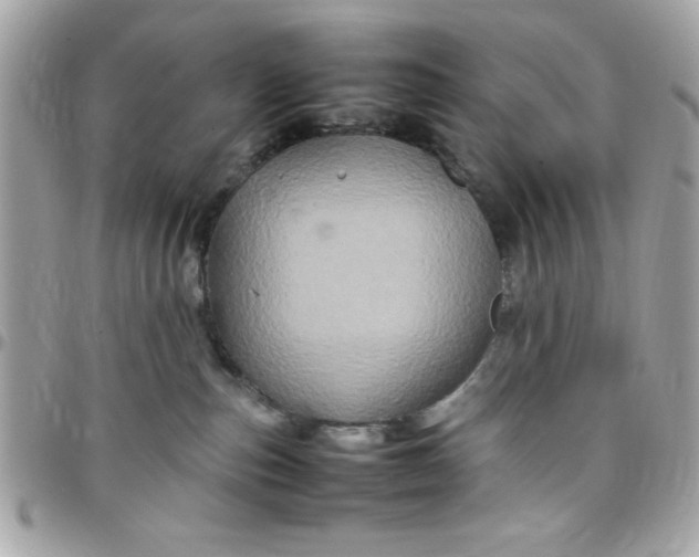 X0000097780187200803211807