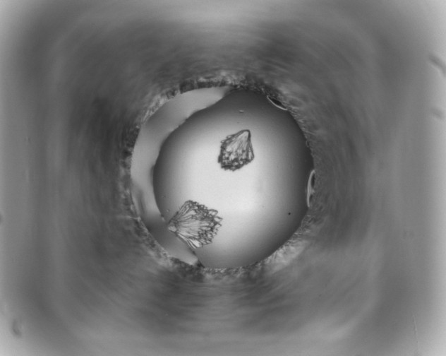 X0000097780192200803211807