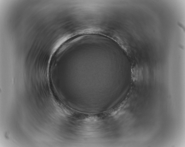 X0000097780196200803211806