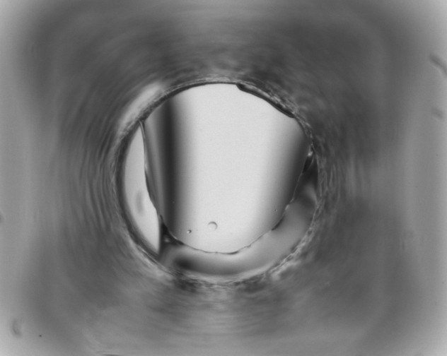 X0000097780197200803211806