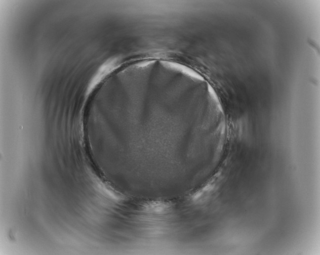 X0000097780198200803211806