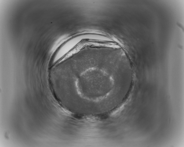 X0000097780199200803211806