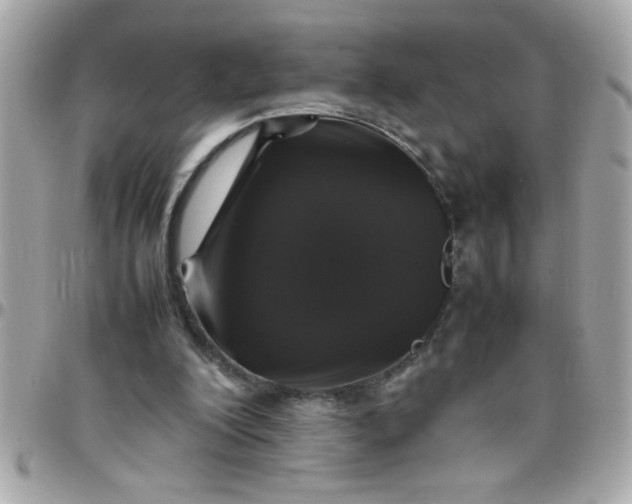 X0000097780200200803211806