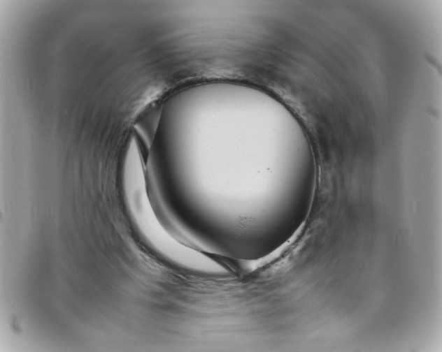 X0000097780201200803211806