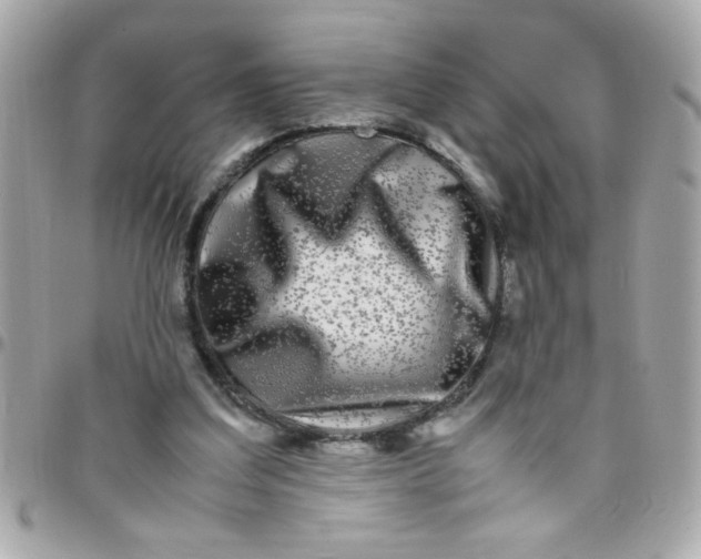 X0000097780203200803211806