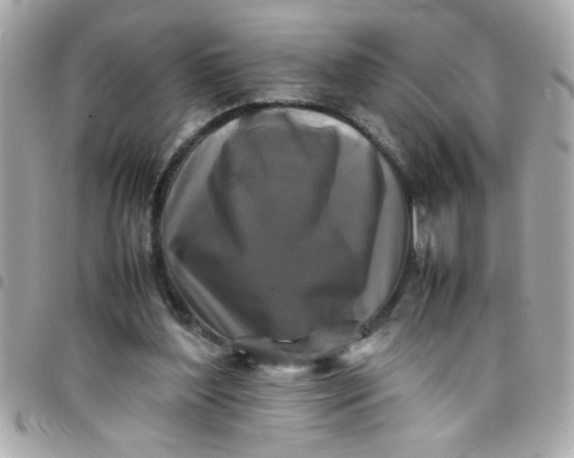 X0000097780204200803211806