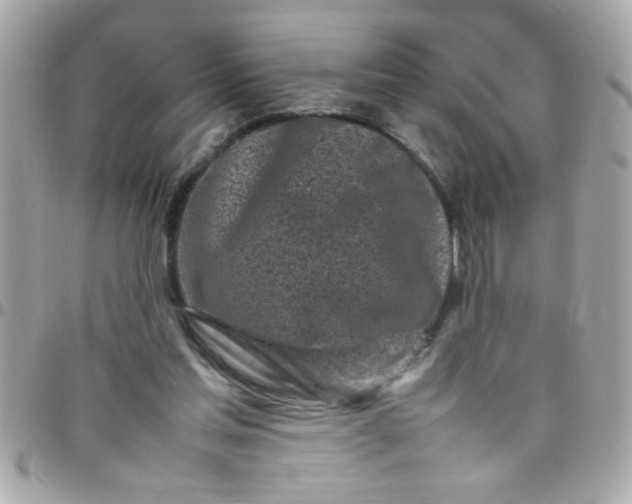 X0000097780205200803211806