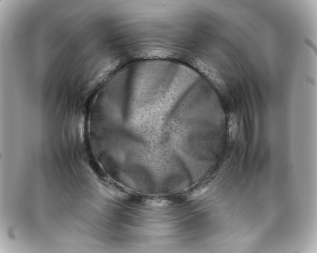 X0000097780206200803211806