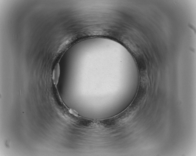 X0000097780207200803211806