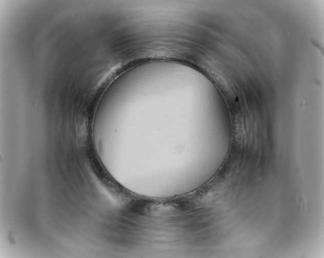 X0000097780208200803211806