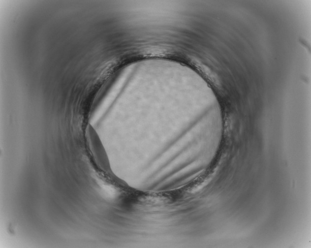 X0000097780209200803211806