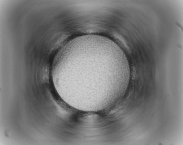 X0000097780210200803211806