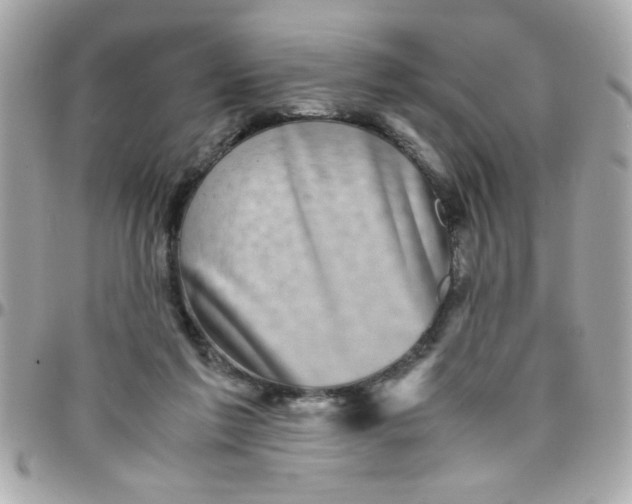 X0000097780213200803211806